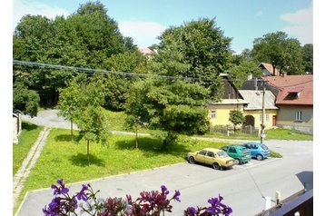 Pensiune familială Bystré 5